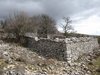 Un très bel enclos 